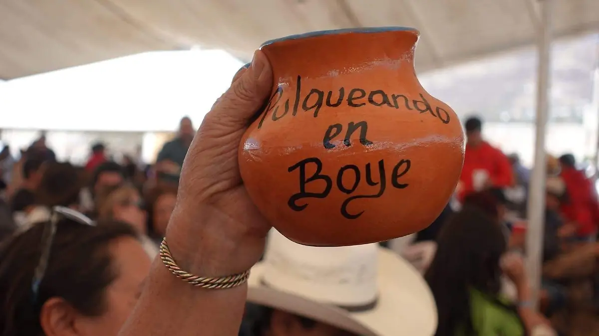 Pulque 5